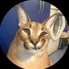 Alkash - @alkash22814 - TikTok