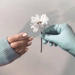 @alkashreiter - Instagram