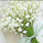 الخاتون - @alkatona - Instagram