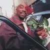 alkee - @alkaalebicc - TikTok