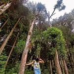 @alkeena__rai - Instagram
