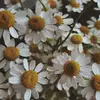 A.L. Kent - @alkent.writes - TikTok