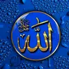 Alkhalil Ibrahim Lazkin - @alkhalil.ibrahim0 - TikTok