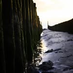 Finya Alkier - @finya.alkier - Instagram