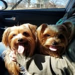 Al Knapp - @al.knapp - Instagram