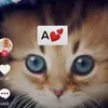 حزين💔 - @alkoop8779 - TikTok