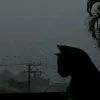AL kumar - @al.kumar2000 - TikTok