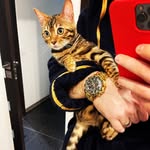 Игорь Емельянов - @al_kuzminino - Instagram