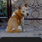 Albert Lampert - @al.lampert65 - Instagram