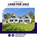 Al Mansour Land - Facebook