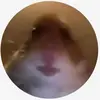 Alexander - @alexander_lanier - TikTok