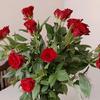 Alla..Rose - @alla..rose - TikTok