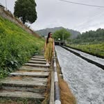 __p.allavi__ - @__p.allavi__ - Instagram
