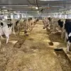alexisleclerc863 - @alexisleclerc863 - TikTok