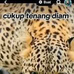 Al Lee - Facebook