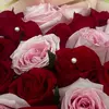 alems_777 - @alems_777 - TikTok