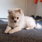 Mamma_pulla - @alle_moi - Instagram