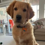 Al Lenox - @lenox1110 - Instagram