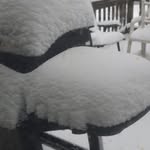 Al Lepore - @al.lepore - Instagram