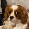 Ali Lepore - @alilepore - TikTok