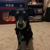 Ali_Lepore - @ali_lepore - TikTok