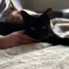 Erica - @ericallevesque - TikTok