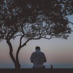 allevine - @al_levine - Instagram