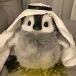 アレビ (AbbyG) - @allevy_o.o - Instagram