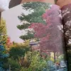 albertolevy867 - @allevy_68 - TikTok