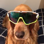 Alan - @al_liminator - Instagram