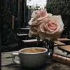 Allison LoCascio - @allisonlocascio - TikTok