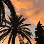 Alloise - @alloiseswarts_ - Instagram