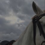 𝔸𝕝𝕝𝕠ï𝕤𝕖 - @equitation.alloise - Instagram