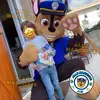 Allo Mascotte - @allomascotte - TikTok