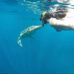 Daniella - @alloverdeeplace - Instagram