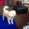 Alfie lowther - @alfie_lowther - TikTok