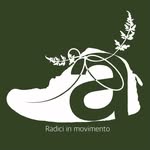 ALLUCE VERDE - @alluceverde.radici - Instagram