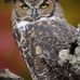 Al Ludwig - Facebook