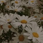 ngm :) - @a.lluke - Instagram