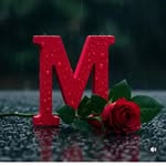 Mohd Shahid - @all__under_sanki - Instagram