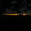 alutz - @alutz - TikTok