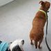 Al-Lynn Animal Hospital - Facebook