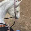 alexis - @alexis_lytle07 - TikTok