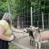 anna banana 🍌 - @alm.maciejewski.spams - TikTok