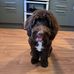 Alan Mackay - Facebook