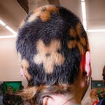Alex MacKay - @darkweb.bing - Instagram