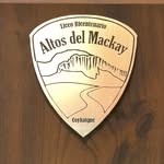Liceo Bicentenario Altos del Mackay - @liceoaltosdelmackay - Instagram