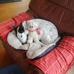 Al Macklin - @runner_bean67 - Instagram