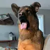 user5912109128898 - @alamaclean - TikTok