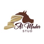 ALMADER ARABIAN HORSE STUD - @almaderstud - Instagram